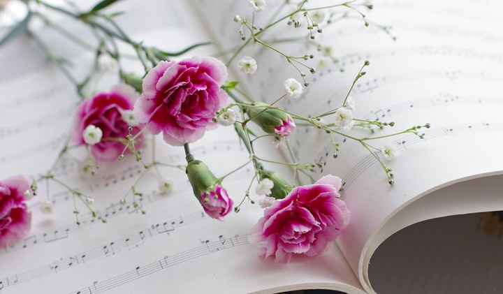 flowers and notes~
