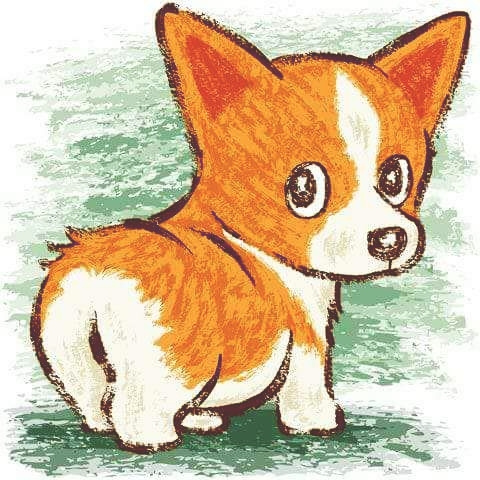 Corgi