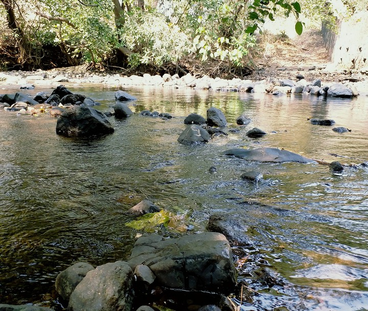 river
