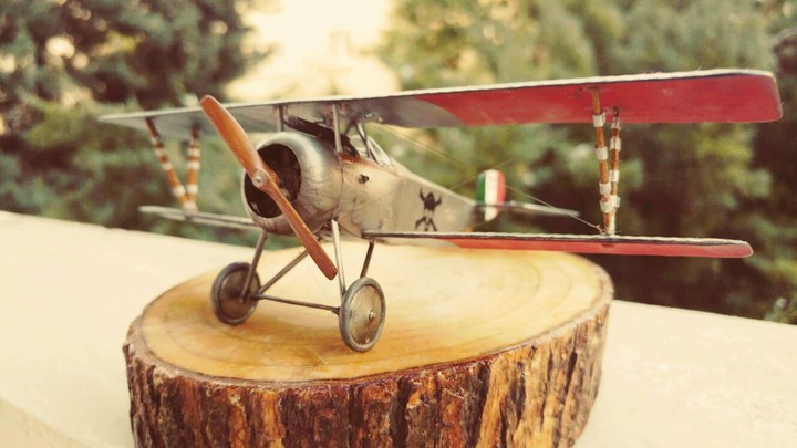 Fly