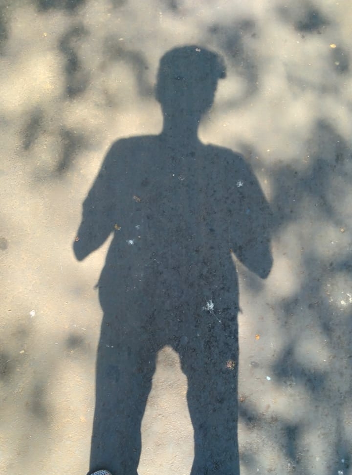living shadow