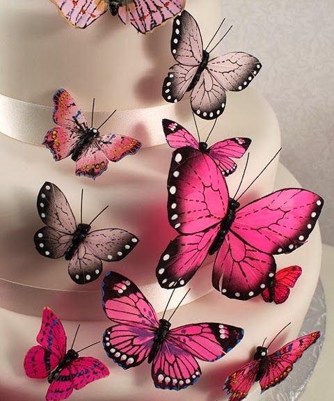 papillon