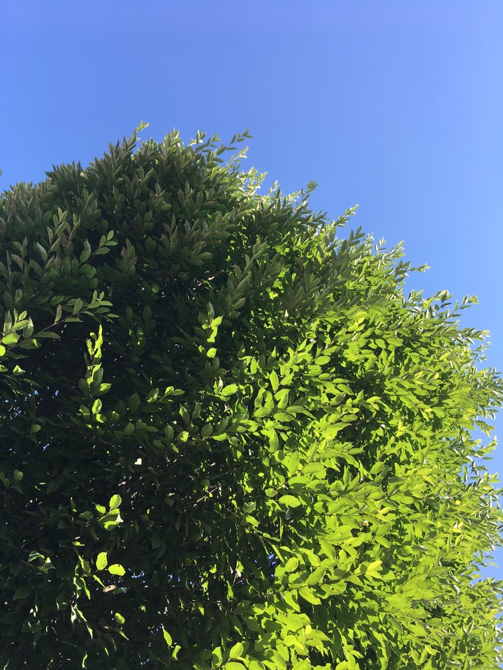 Nature.