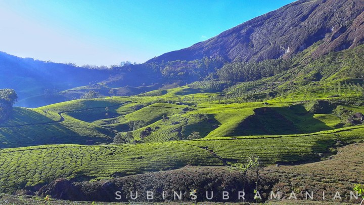 Munnar