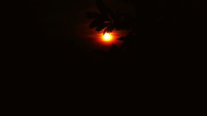 ☀☀☀❤