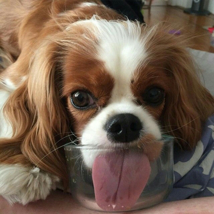 :p