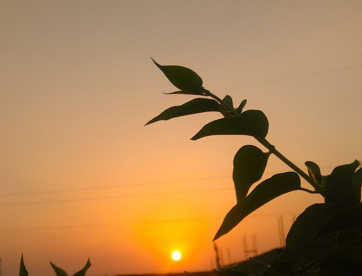 sunset under the shadow