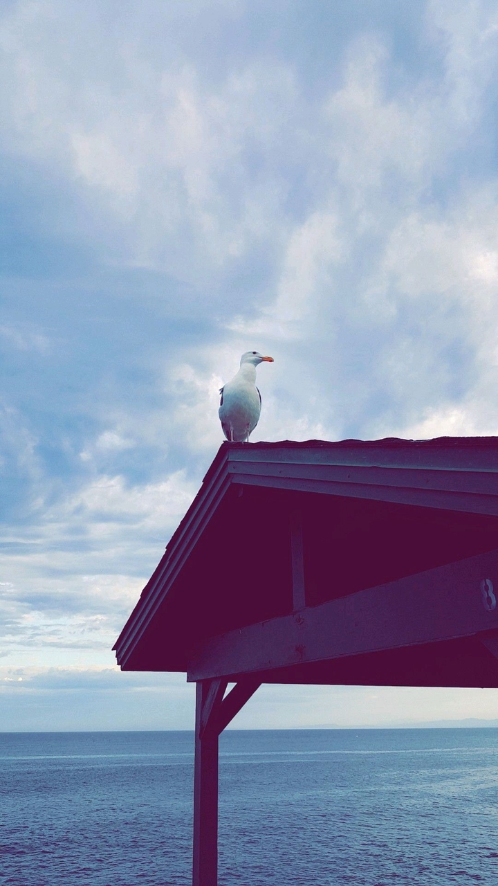 La Jolla Shores