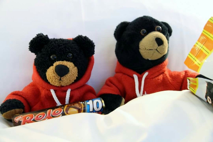 The Share Bears