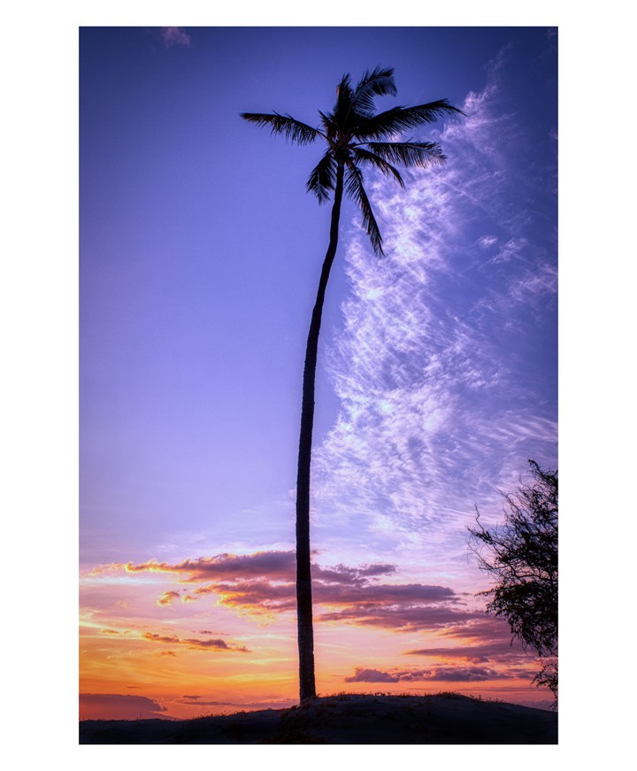 Purple Sky Island