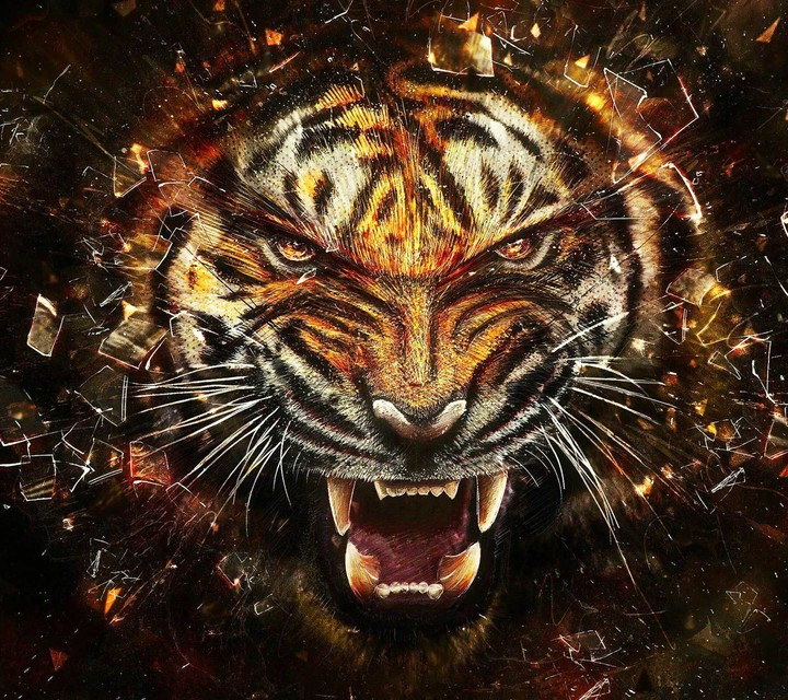 roaring tiger