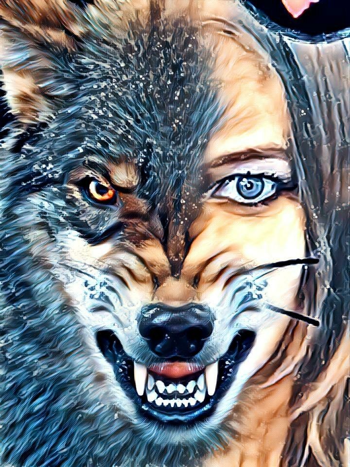 loba