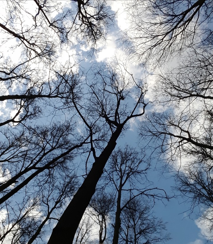 sky