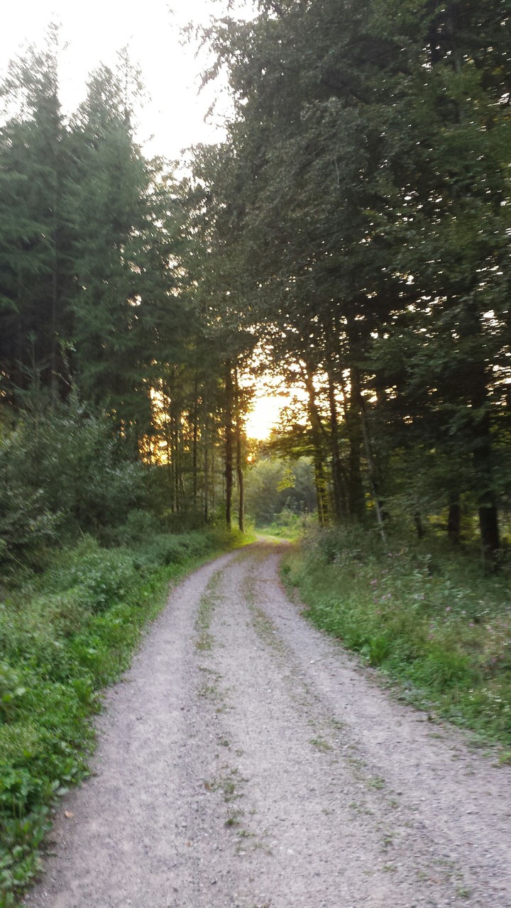 schöner Sonntagsspatziergang