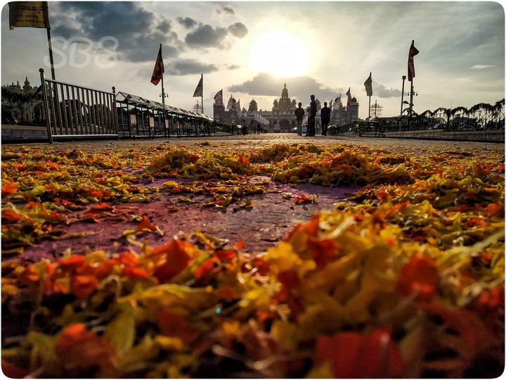Mysore Palace