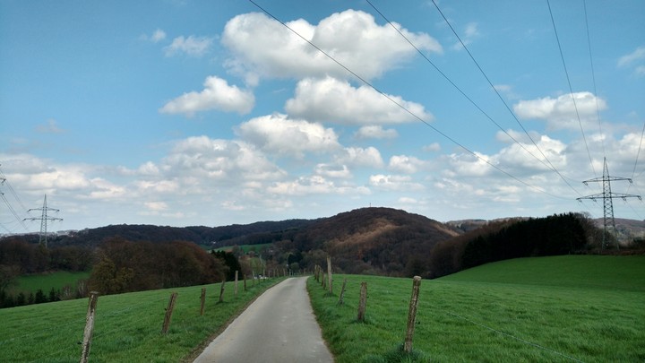 Spaziergang im Grünen