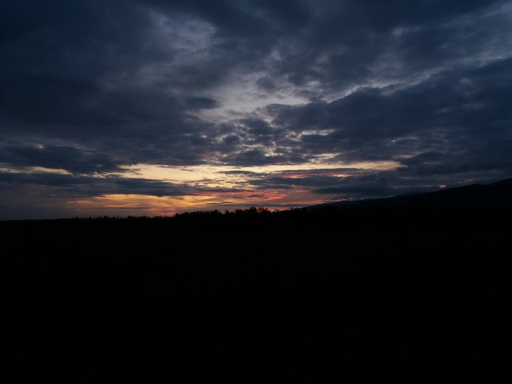 night