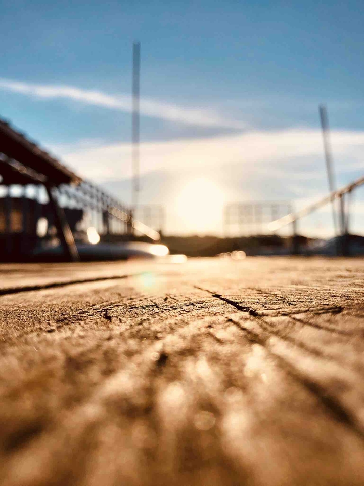 wood
