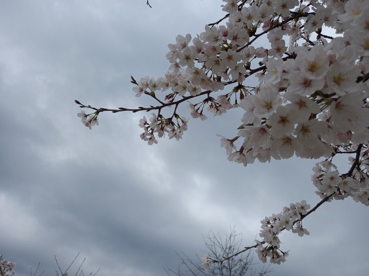 양산 황산공원