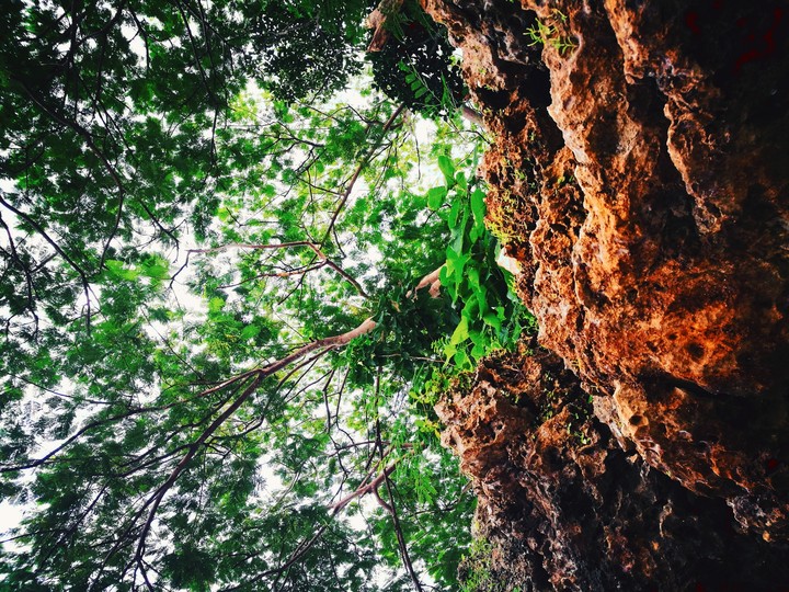 Look Up