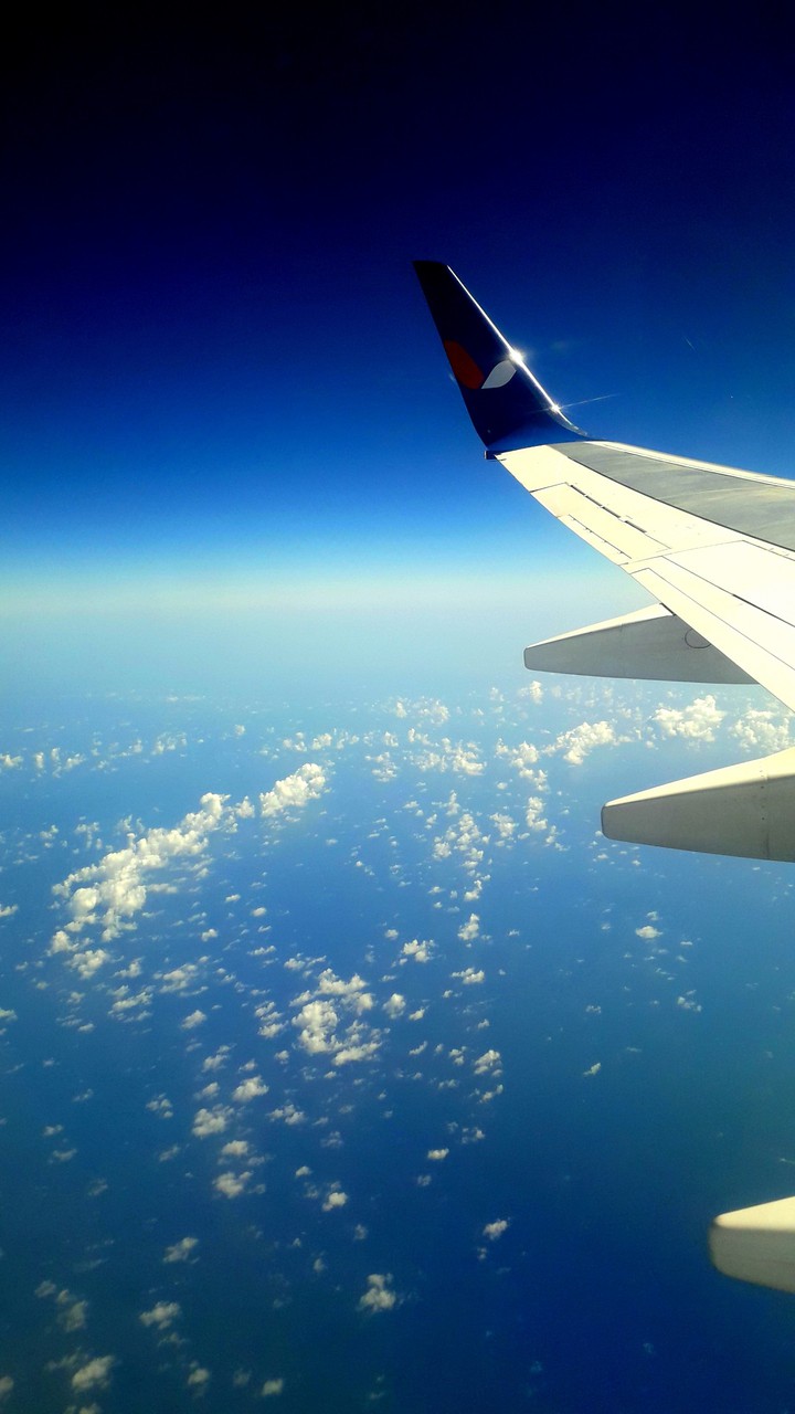 flight