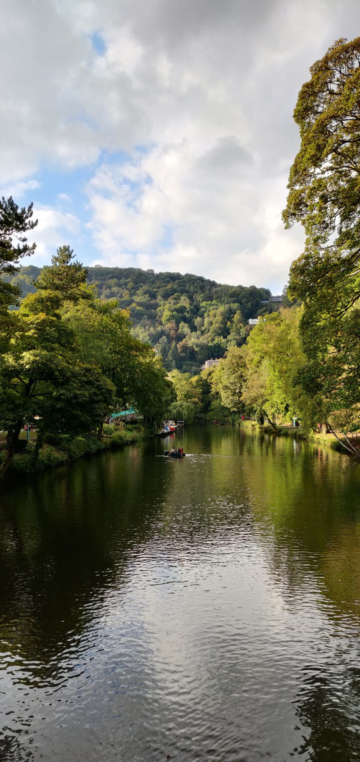 beautiful forest river