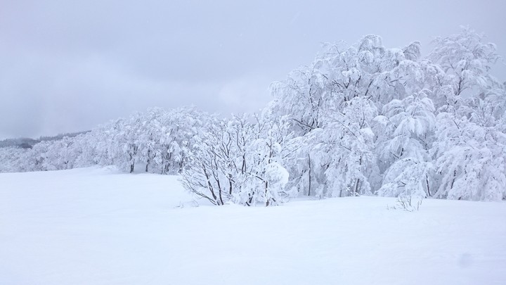 snow mountain