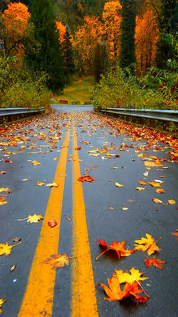 Road