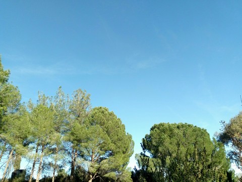 sky