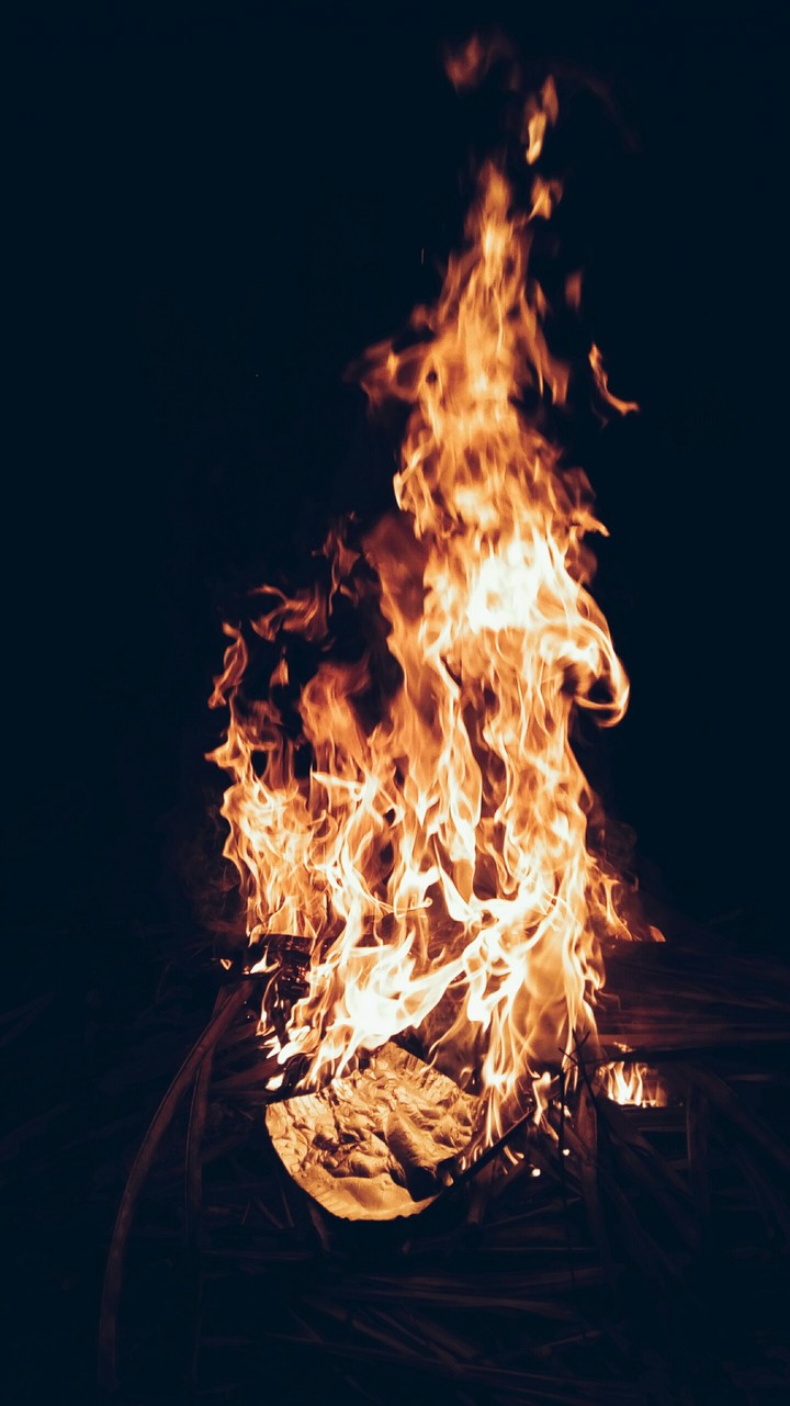 camp fire
