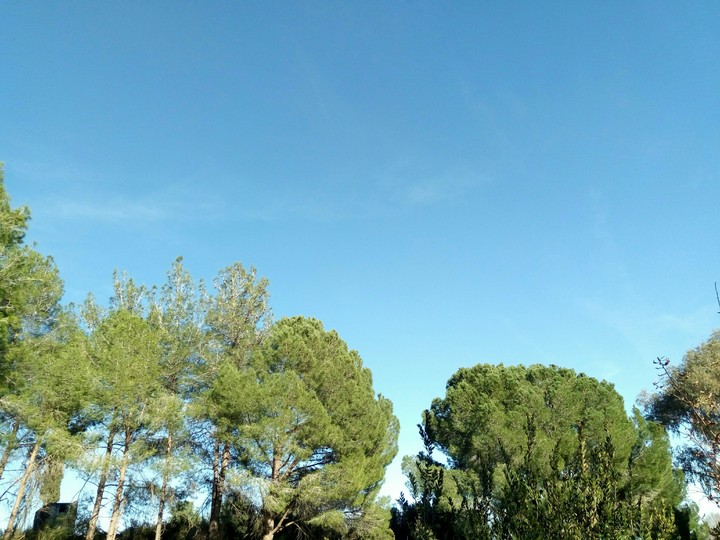sky