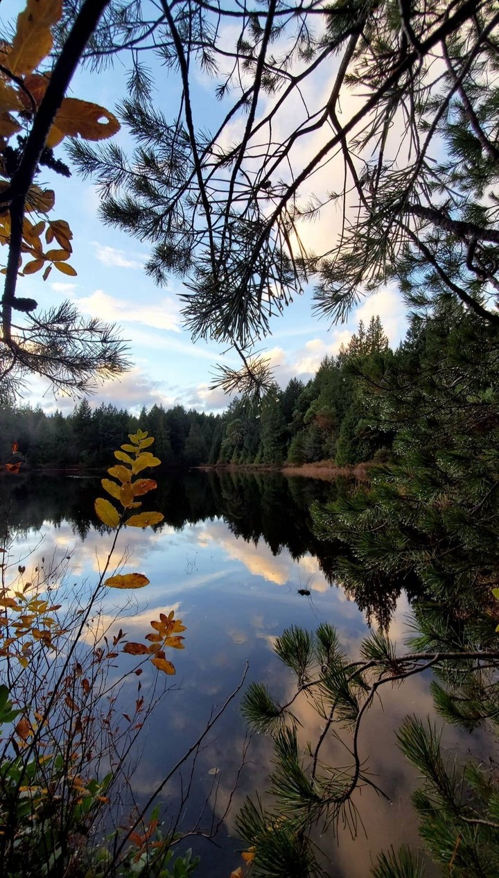Lakeside