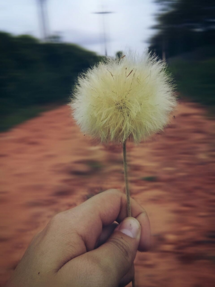 ~