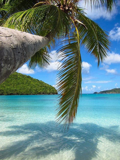 Paradise