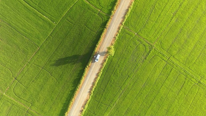 Green Path