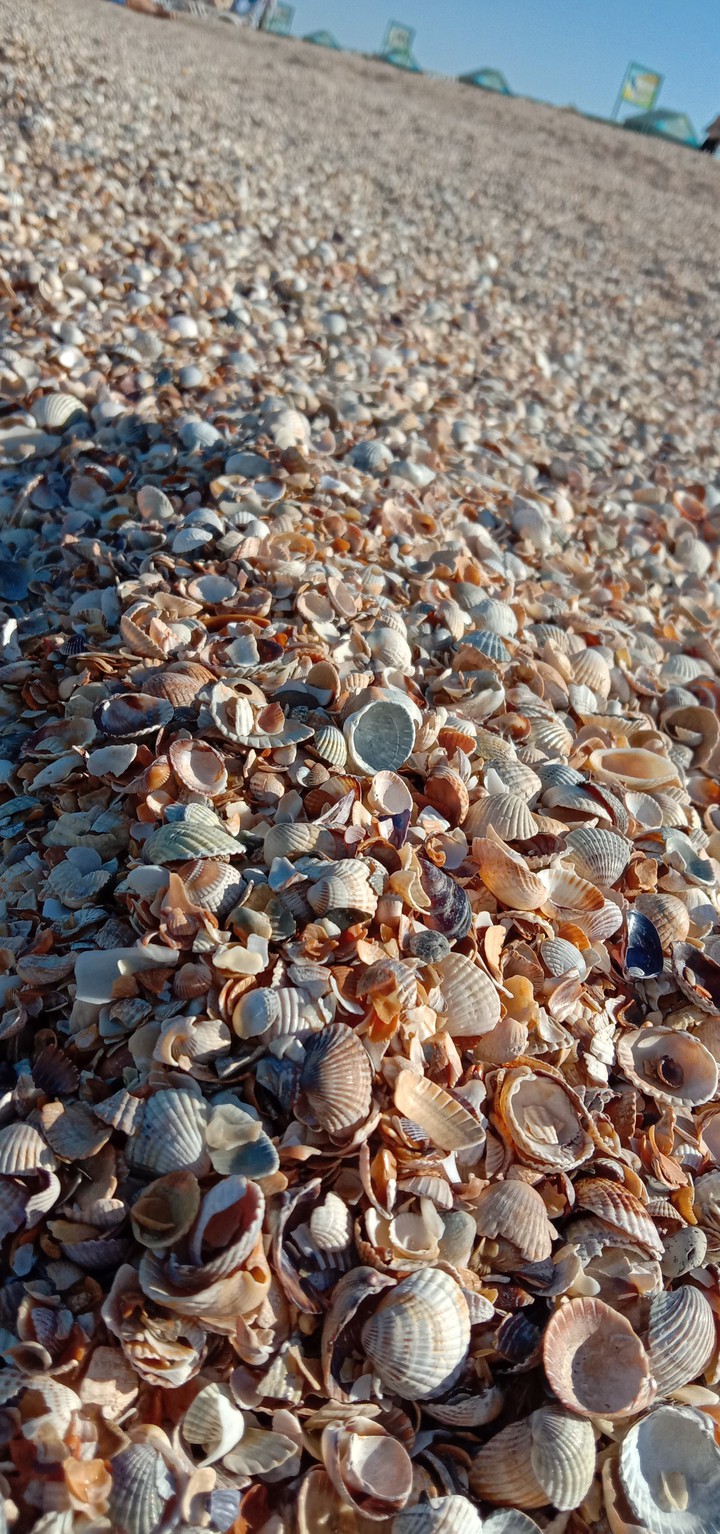 лето