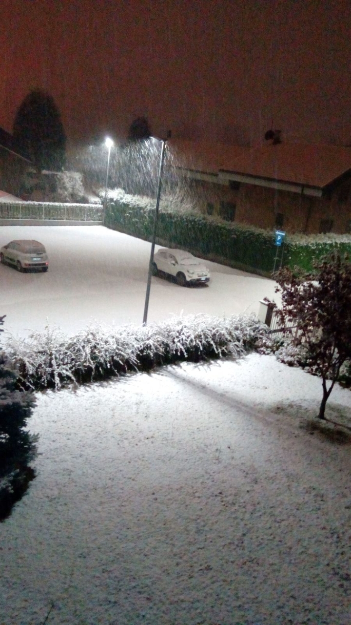 neve
