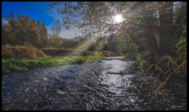 Spaziergang  an der Striegis