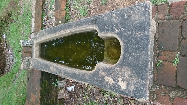 බෙහෙත් ඔරුව