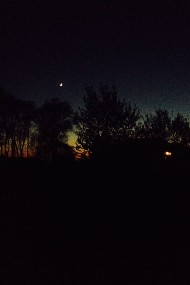 night