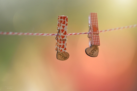 clothespin