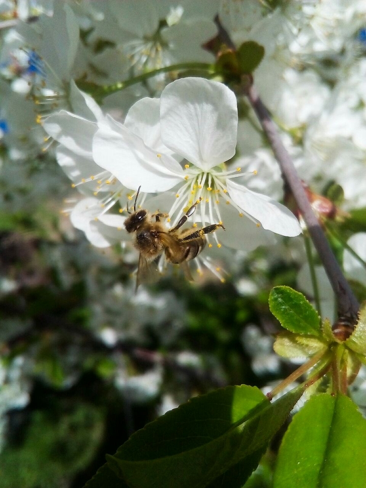 spring is here!!)