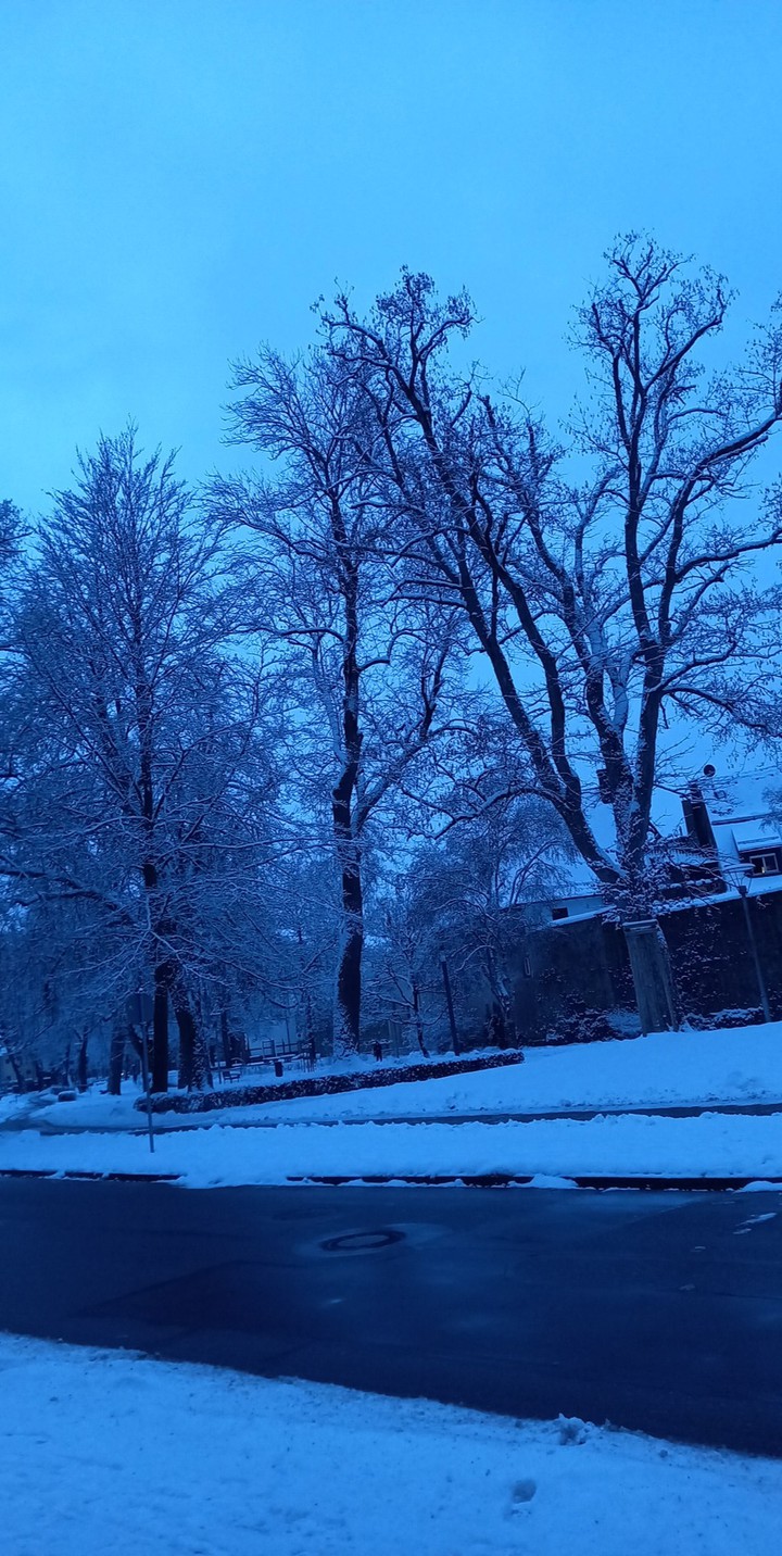 Winterlandschaft