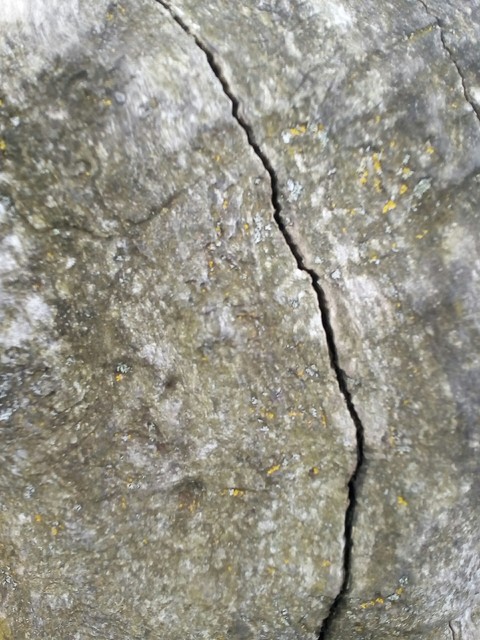 тапети Rock, branch