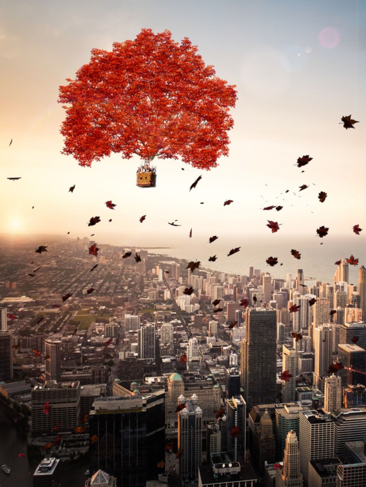 Tree Launched into air