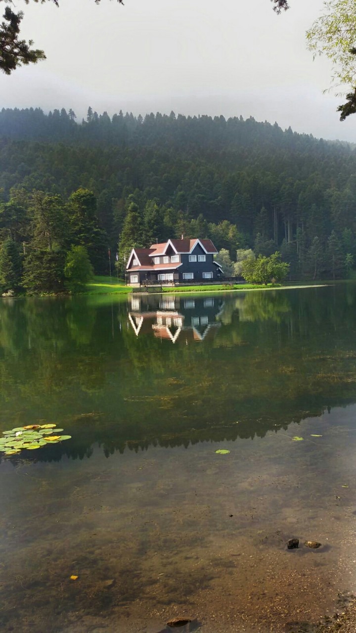 doğada yaşam