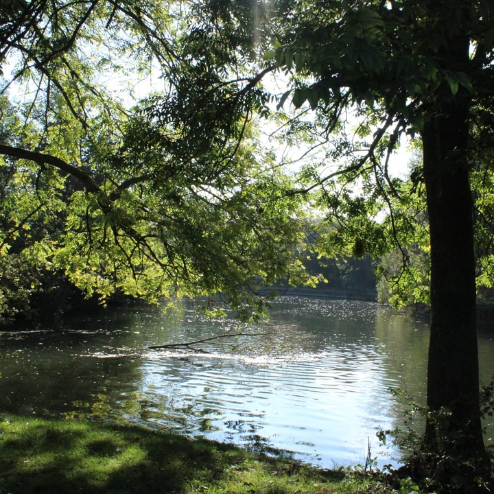 Lake in sunlight