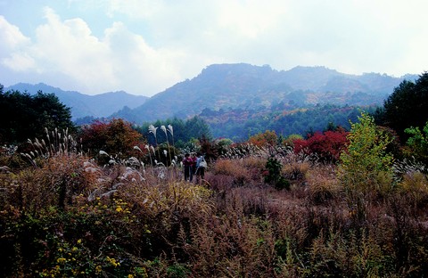 Asia Images