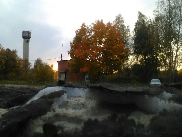 Клен)