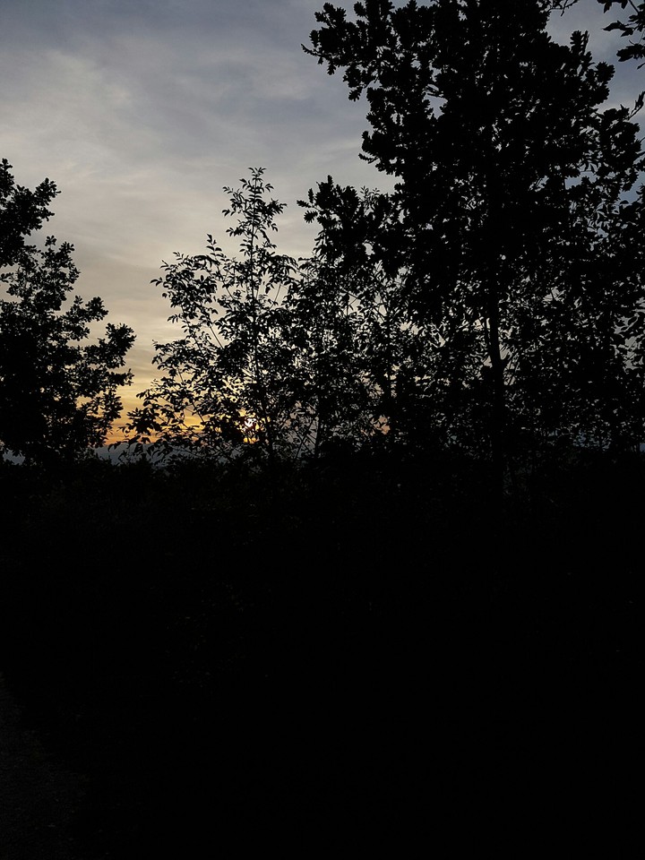 Nature 
